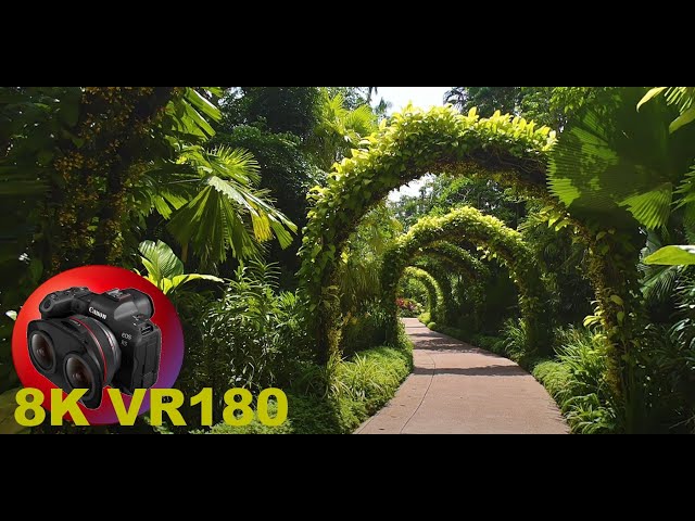 NATIONAL ORCHID GARDENS IN SINGAPORE BOTANIC GARDENS slideshow 8K/4K VR180 3D (Travel/ASMR/Music)