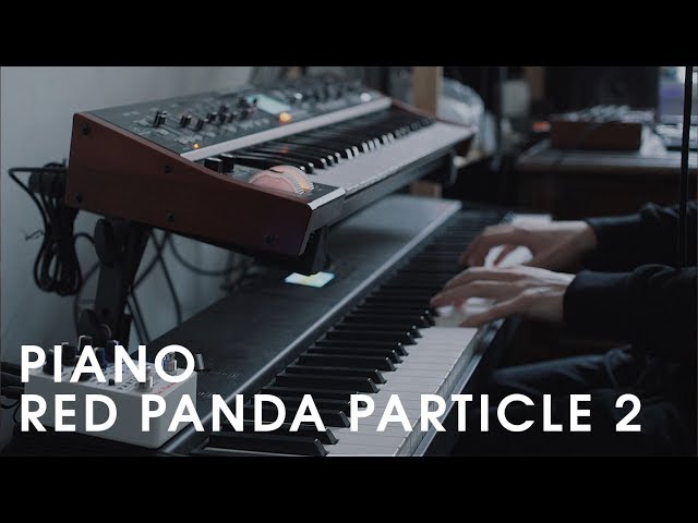 Piano Diary | Piano + Red Panda Particle 2 Delay