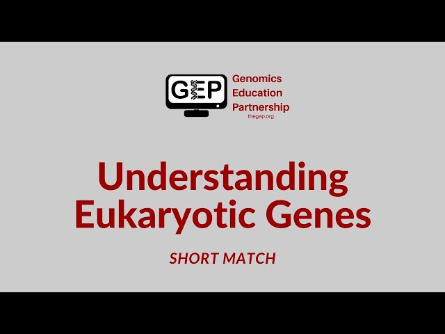 UEG | Short Match