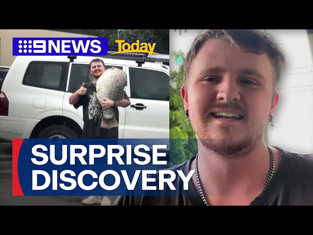 Townsville local goes viral after massive barramundi catch | 9 News Australia