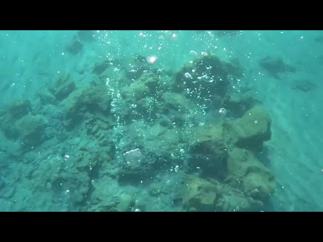 Milos Island Hydrothermal Vent