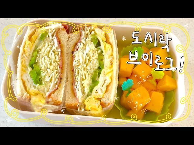 🍱🇰🇷 Lunchbox VLOG ✰ Packing lunchboxes from morning to school -! Avocado sandwich / Duck meat lunch