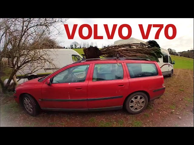 Trusty old Volvo V70 collects Conifer Trees for planting on the Farm