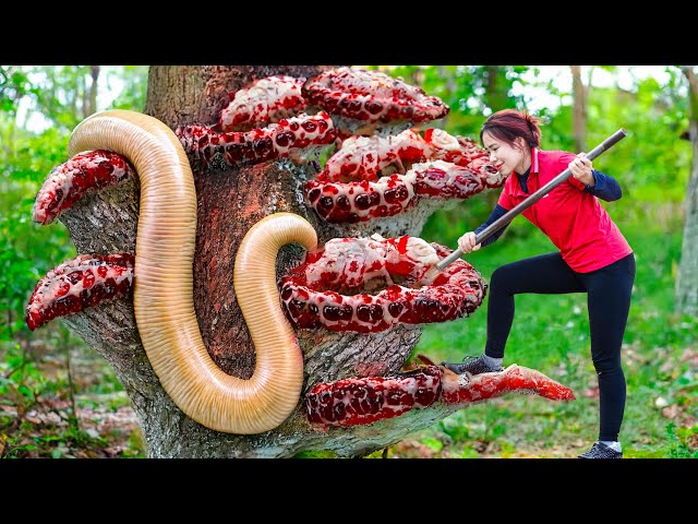 Harvesting Blood of the Devil & Go to Market Sell | girl camping alone in the forest