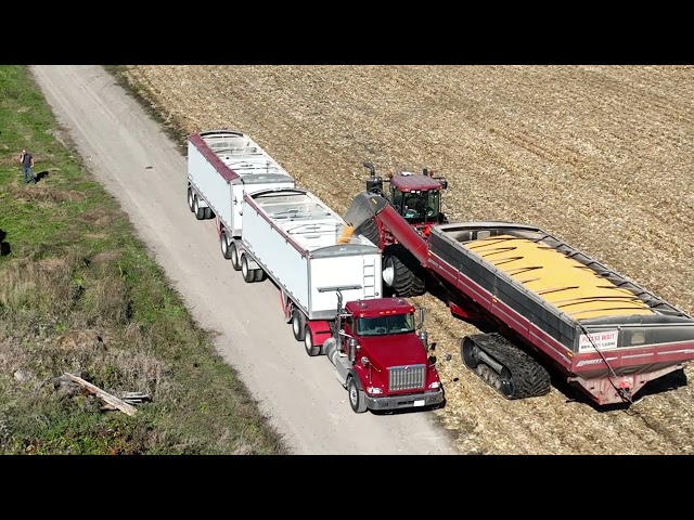 CANADIAN FARMER - BIG GUNS - HUGE Geringhoff 16 row corn head on a MONSTER Claas Lexion 8700 combine