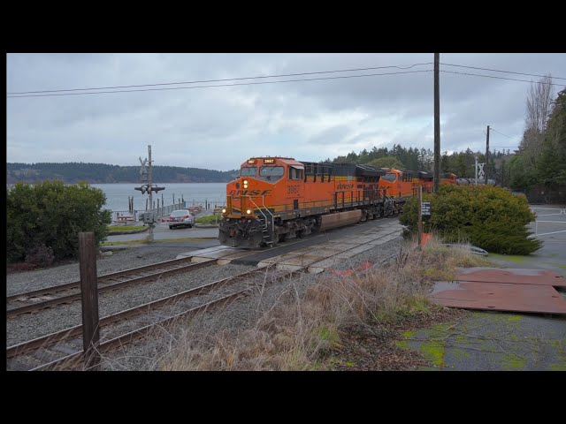 BNSF And UP Trains In Tacoma