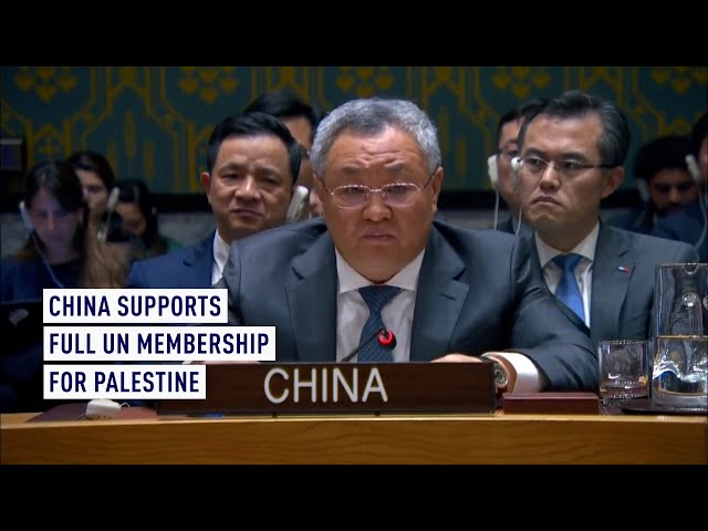 China very disappointed at U.S. veto of Palestine's UN membership bid