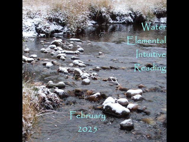 Water Elemental Intuitive Reading, February 2025: Resolution, Challenges, Lessons Learned