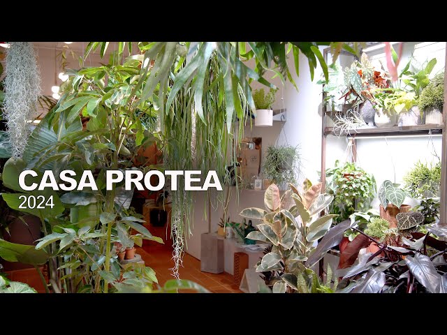 Visitando CASA PROTEA en Barcelona