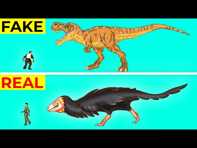 What Dinosaurs ACTUALLY Looked Like?