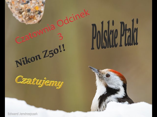 Czatownia Odcinek : 3  Ostatnie dokarmianie - Koniec Zimy.