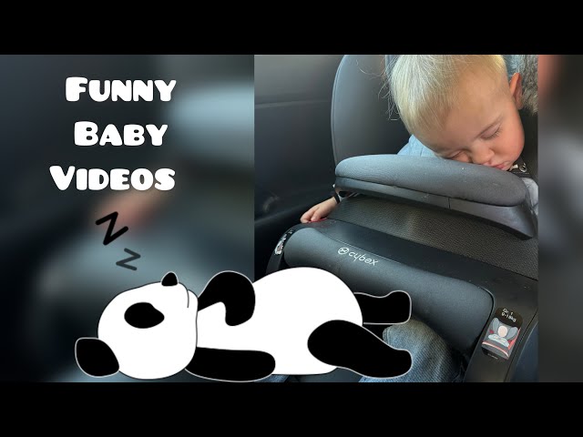 Funny baby 👶🏻 “best moments of January 2025” 🐼 lustige Videos „beste Momente von Januar 2025“ 🐣