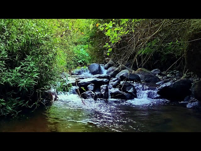 Waterfall Gentle Stream Sound in forest Waterfall Sounds Flowing Water White Noise for Sleep