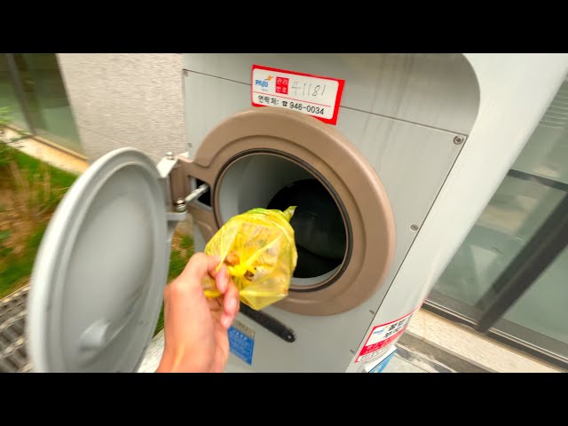 Disposing Of Food Waste in Korea