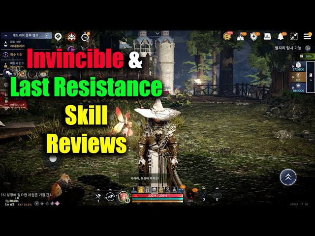 Black Desert Mobile Invincible & Last Resistance Skill Reviews