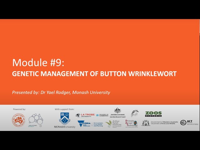 Module 9.9: Button wrinkelwort case study