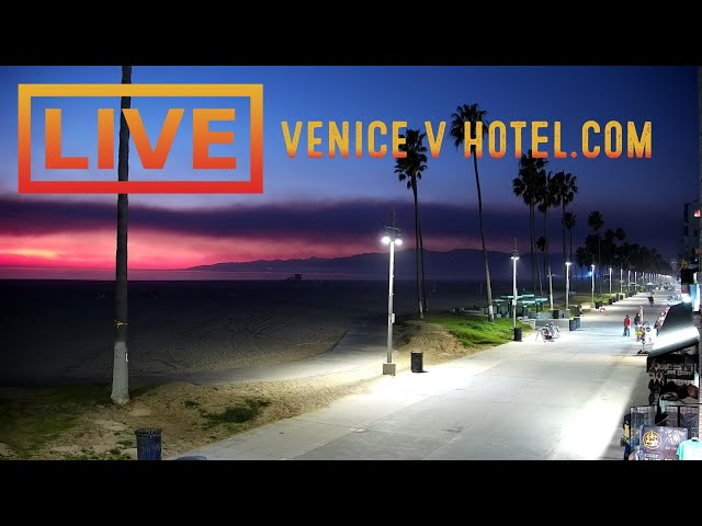 🔴 Venice V Hotel Live · Beach Live Camera · Los Angeles Live Stream