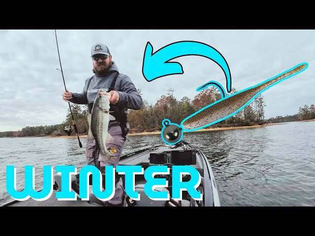 WINTER Bass Fishing on CLARKS HILL (GIANT at My LAST SPOT!)