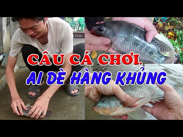 Câu cá chơi, ai dè dính hàng khủng | Fishing play, Stick to the giant fish | Hiếu Lan TV