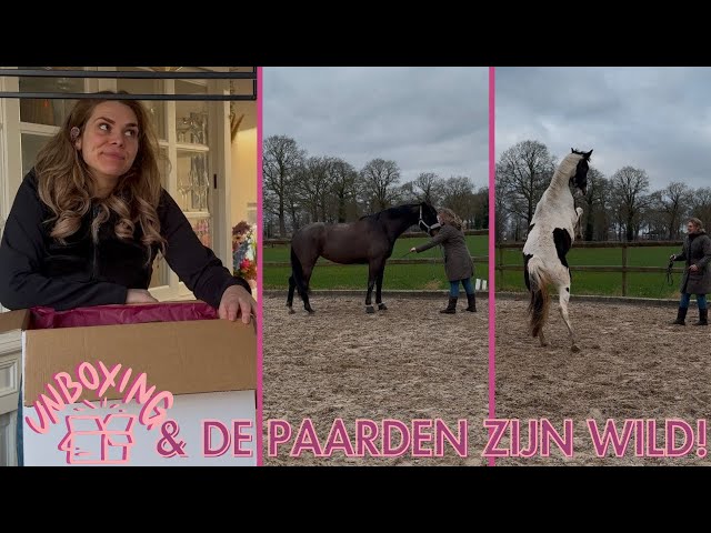 DEZELFDE oefening met 2 VERSCHILLENDE paarden!? - Life as Esmé