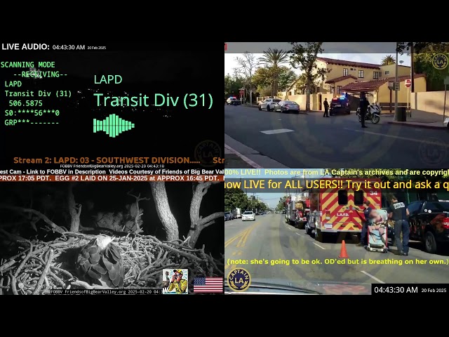 *LIVE* Los Angeles Police Scanner Audio LAPD Police LAFD Fire // 15-FEB-2025 // LA Captain