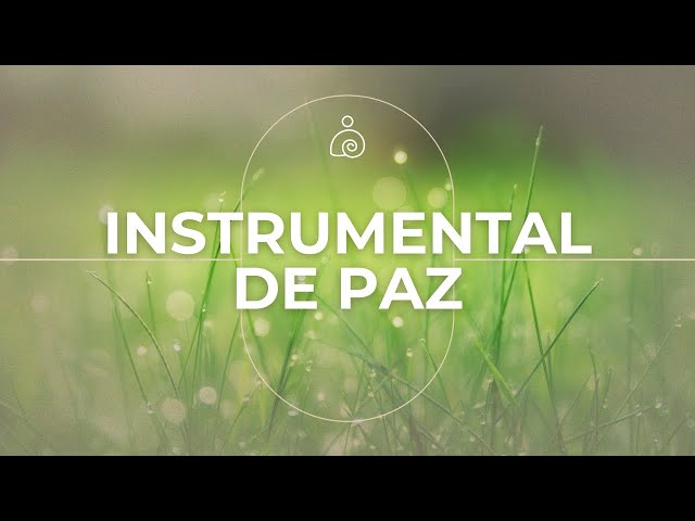 Música Relajante Antistress🌿musica instrumental relajante🌿La música suave calma el sistema nervioso