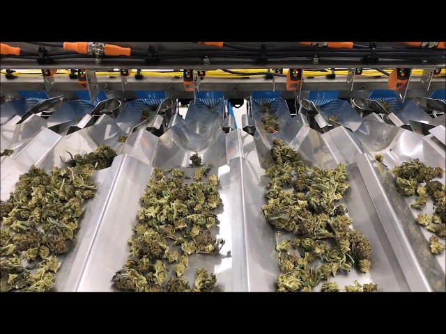 Cannabis Packaging Machine (MICRO420)