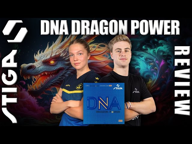 Stiga DNA Dragon Power Review