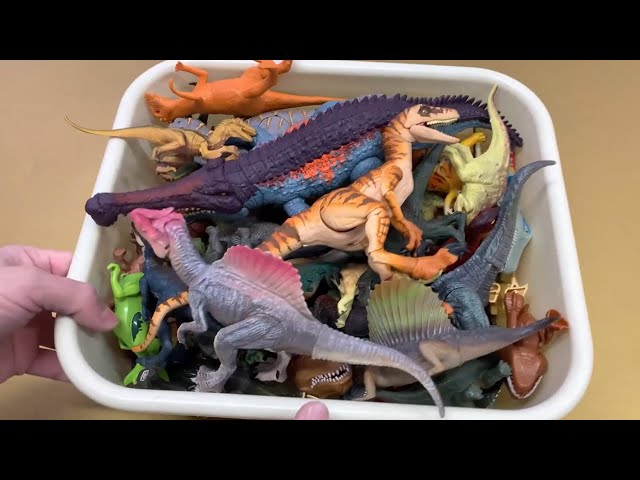 Dinosaur Toy Collection Showcase: See All the Cool Toys!