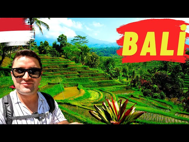 I ENTERED THE GIANT RICE FIELDS!!! BALI/INDONESIA 🇮🇩 ~154