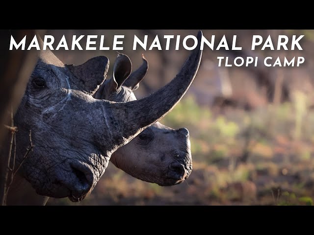 Marakele National Park | Tlopi Camp