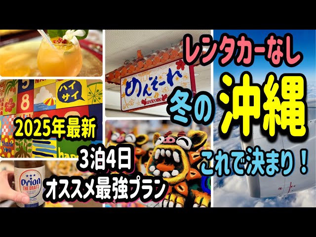 【沖縄】3泊4日レンタカーなし/美味しいものを食べる旅/到着日から行列の絶えない沖縄グルメを満喫/ゆいレールが便利過ぎる/2025年1月最新/OKINAWA Day 1🌺