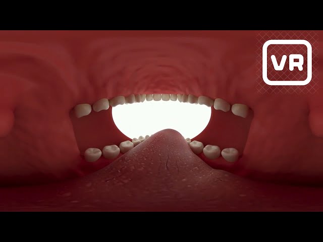 Realidade Virtual 360°: Colgate