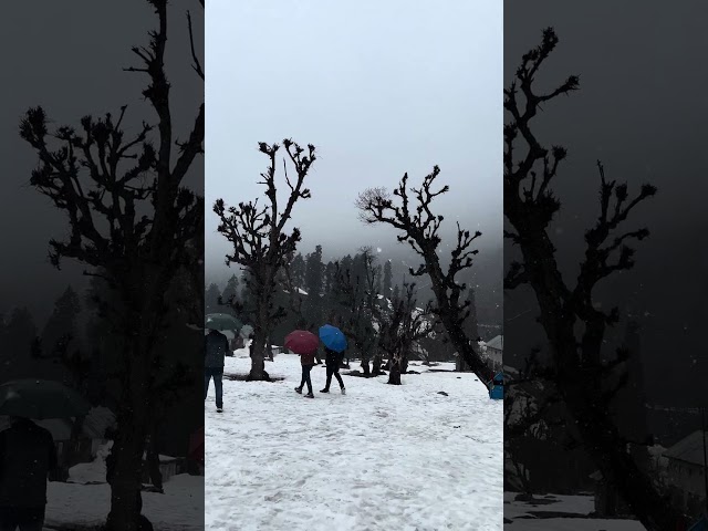 Snowfall #travel #pahalgam #kashmir