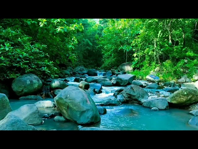 ASMR for deep sleep, Relaxing River Sounds For Therapy and Stress Relief, Mountain Stream Meditation