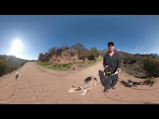 December 27th 360 Video hiking Rossi, Maisy, Walter, Dillinger Griffith Park VIDEO 0793