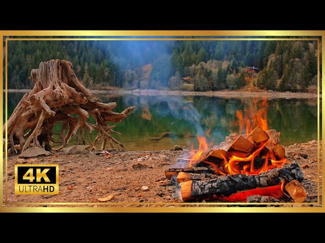 Arnensee, Switzerland in 4K UHD: 2H of Relaxing Campfire Crackle & Lake Nature Sounds for Relaxation