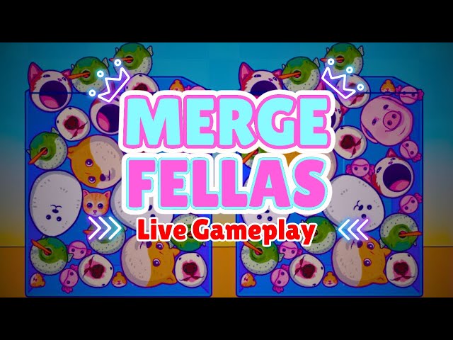 Merge Fellas Live Gameplay.