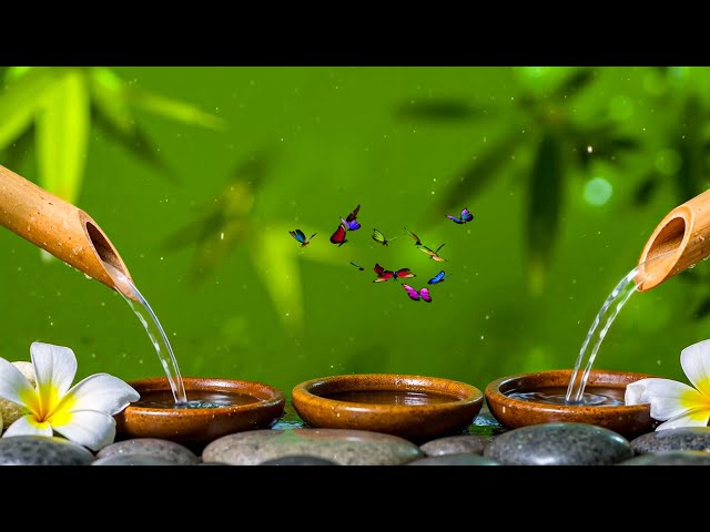 Beautiful Relaxing Music - Soothing Piano Music & Water Sounds for Deep Sleep, Meditation, Spa, Yoga