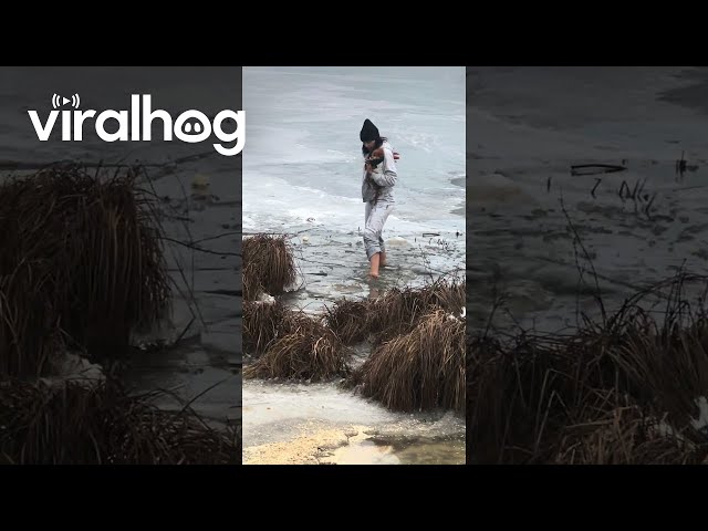 Woman Rescues Dog From Freezing River || ViralHog