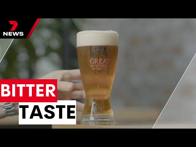 Aussies abandon Great Northern Brewing Co beer over ‘woke’ $200,000 campaign | 7NEWS