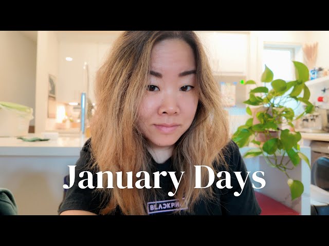 Days In My Life | 📷new camera, microblading, San Jose, stationery day, Amazon packages