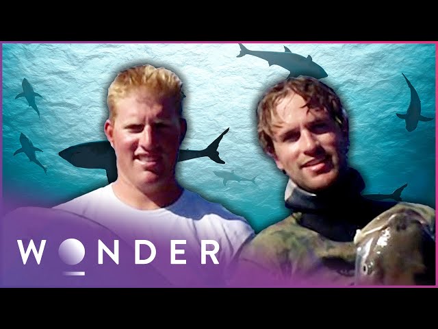 Group Of Friends Survive A Deadly Shark Attack | Fight To Survive | Wonder