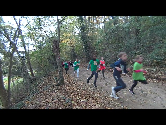 VR180 3D  - 8K  - CROSS ALLONNES - Scolaire UGSEL -  Jeudi 14 novembre 2024  - CALF VISINSE