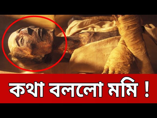 শুনুন কথা বলছে ৩০০০ হাজার বছর আগের মমি ! | Egyptian Mummy Speaks | Bangla News | Mytv News