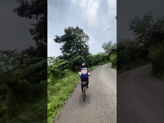 Folding Bike Descent : Whoosh