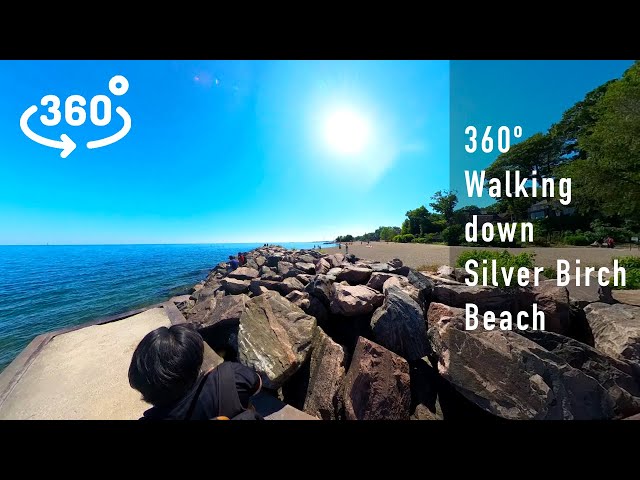 360 Video | Beach, Doggies and Beach Houses at Silver Birch Beach, Toronto 🇨🇦