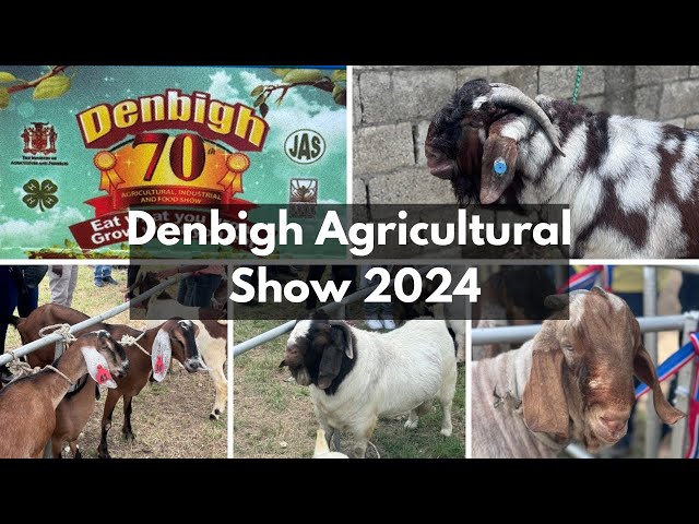 Denbigh Agricultural Show 2024