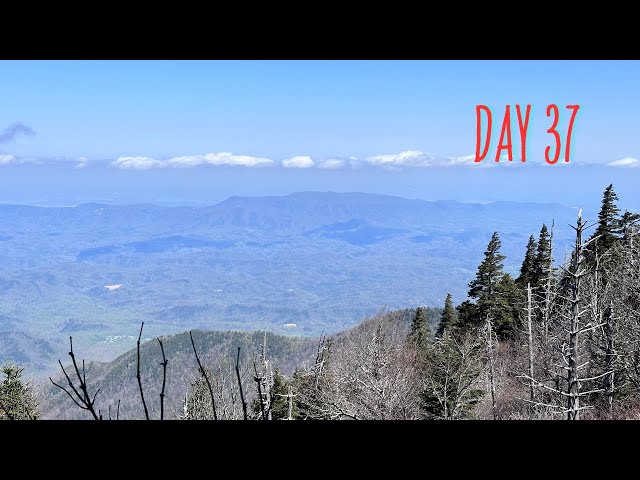 Day 37 - Tri Knob Shelter to Cosby Knob Shelter - Appalachian Trail 2024 Thruhike Attempt