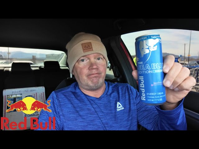 Red Bull Sea Blue Edition Sugar Free Energy Drink Review